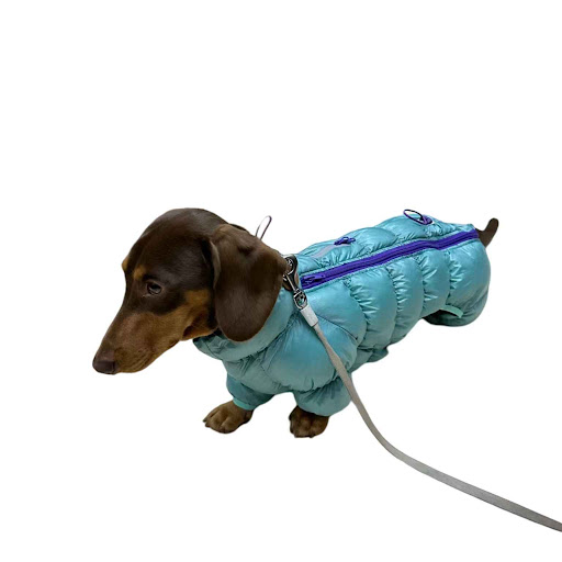Title 3, Autumn and Winter Pet Thermal Cotton-padded Clo...