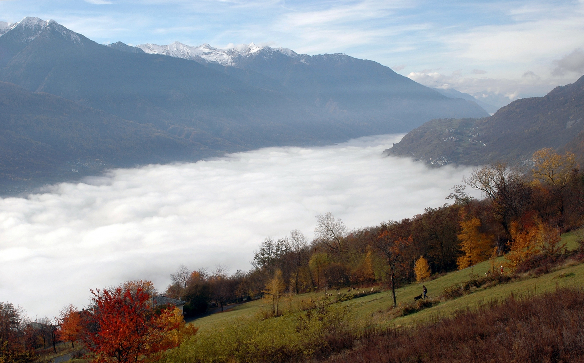 Una valle nella nebbia di benny48