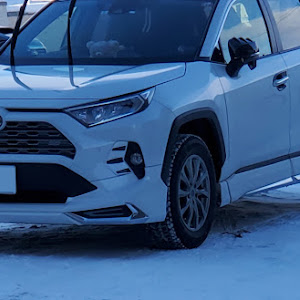 RAV4 MXAA54