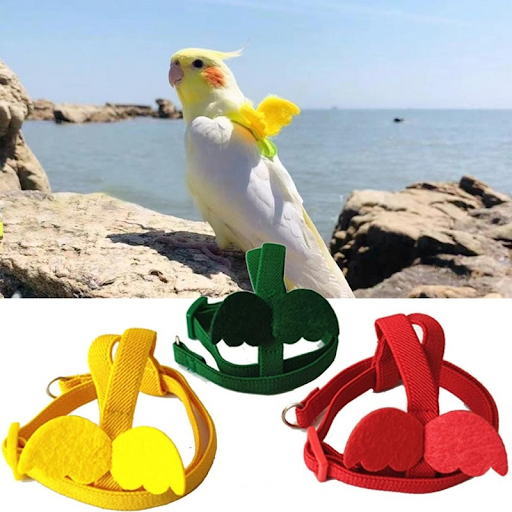 Long Cable Bird Harness Leash Anti-Bite Training Rope Decorative Lightweight Parakeet Parrot Vest Rope for Bird Parrot 
