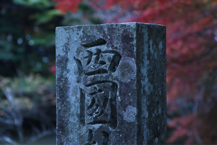 シロッコの紅葉・丹波篠山・ツーリング・シロッコ・ふぉるくすわーげんしろっこに関するカスタム事例の投稿画像8枚目
