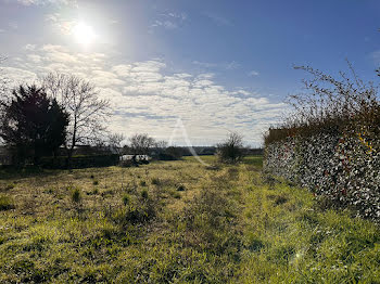 terrain à Mazé-Milon (49)