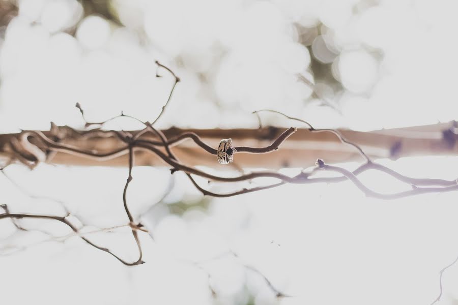 Fotógrafo de bodas Rita Novikova (rribakarp). Foto del 22 de diciembre 2015