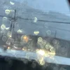 ユーザー