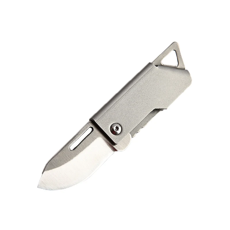 D2 Staal Vouw Campingmes Sleutelhanger Compact en Duurzaam Ideaal voor Kamperen en Dagelijks Gebruik Handige Tool en Accessoire
