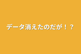 データ消えたのだが！？