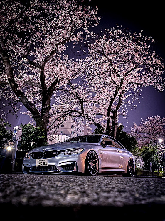 M4 クーペの桜と愛車・サクラと愛車・桜シーズン開幕・地面師・4月もよろしくお願い致します🌸に関するカスタム事例の投稿画像1枚目