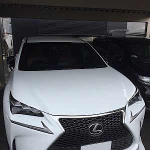NX AGZ15