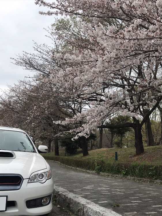 の投稿画像3枚目