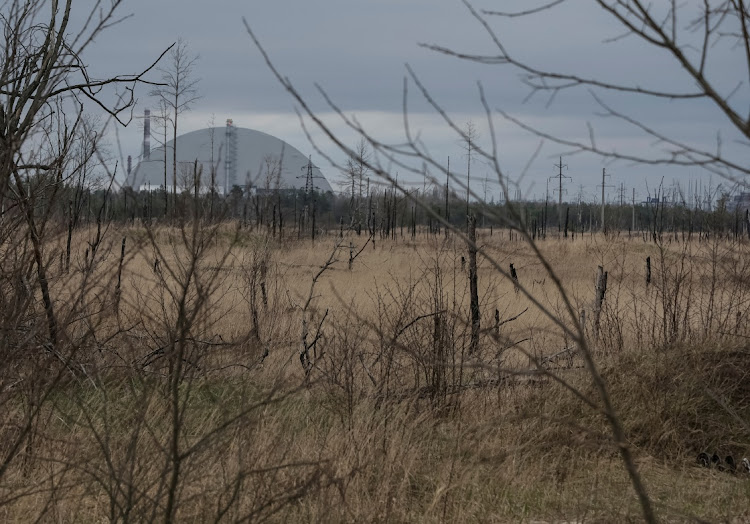 Fighting near the defunct Chornobyl atomic power station, scene of the world's worst nuclear accident in 1986, had caused fires over almost 12,000 hectares of land, killing flora and fauna in a unique environment, Strilets said.