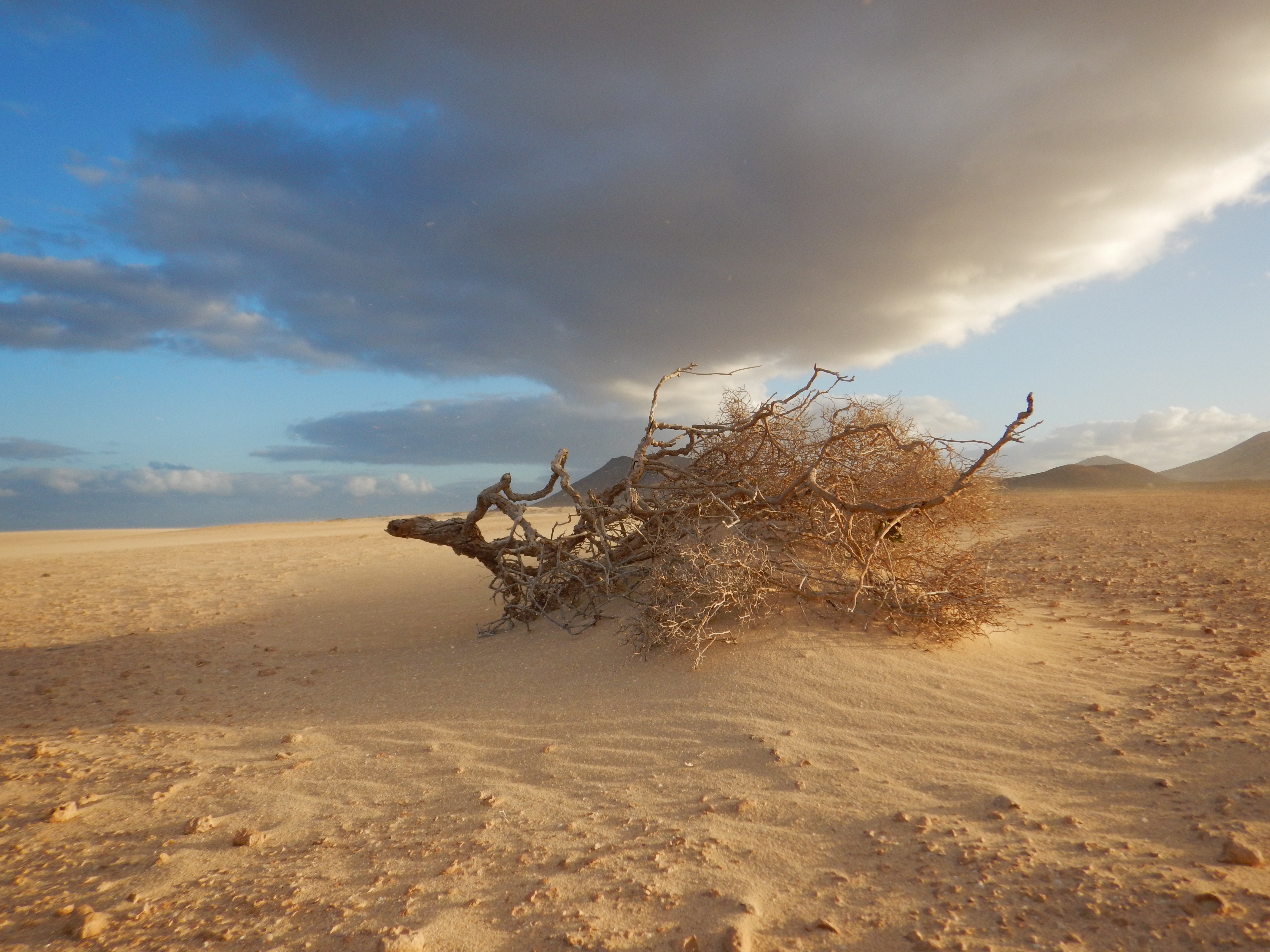 Il silenzioso urlo della natura. di alemotionpics