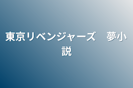 東京リベンジャーズ　夢小説