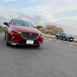 CX-3 DK5FW