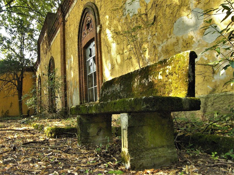 Nel giardino della fabbrica abbandonata di iento