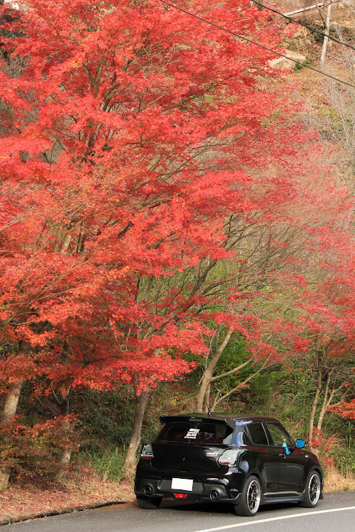 スイフトスポーツの紅葉と愛車・紅葉ドライブ・一眼レフに関するカスタム事例の投稿画像4枚目