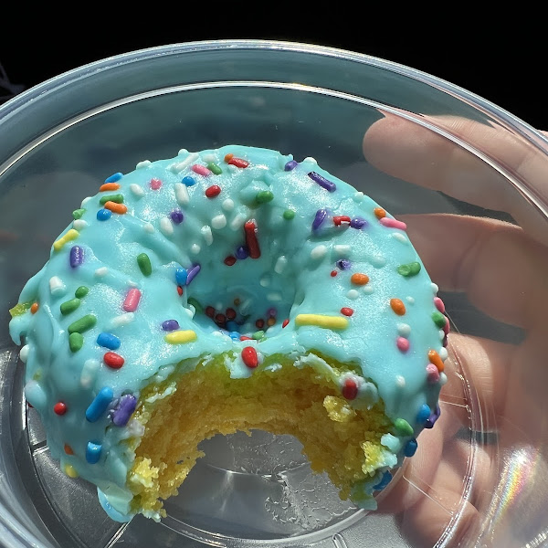 Blueberry donut