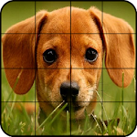 Puzzle Dogs Apk