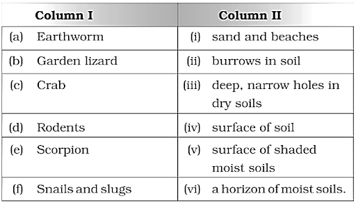 How Soil is Formed