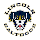 Download Lincoln Saltdogs For PC Windows and Mac 3.0.2237