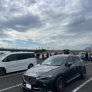 CX-3 DK8FW