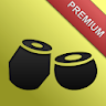 Rhythm Tabla & Tanpura PREMIUM icon