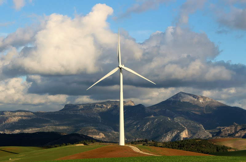 girando per i campi... di bereza