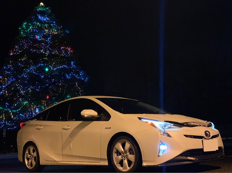 プリウスのprius・TOYOTA・50プリウス・サイドマーカー・バグガードに関するカスタム事例の投稿画像1枚目