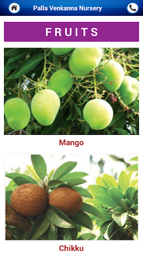 Palla Venkanna Nursery SSNG