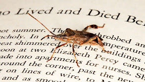 Insects in Art, Literature, and Film thumbnail