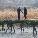 Walk on the wooden bridge