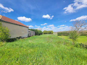 terrain à Blaye (33)