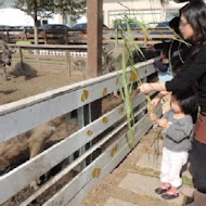 巷弄田園休閒農村廚房