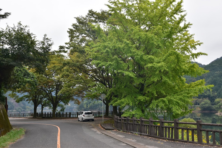 アクアの夢幻鶏・キッチンカーコラボ・こぶたさんがころんだ・添田町・早く紅葉しないかなぁ〜に関するカスタム事例の投稿画像6枚目