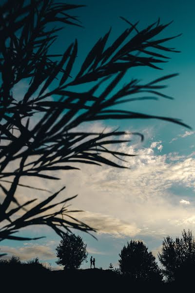 Fotógrafo de casamento Andrey Dulebenec (dulebenets). Foto de 23 de abril 2018