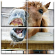 Horse Games  icon