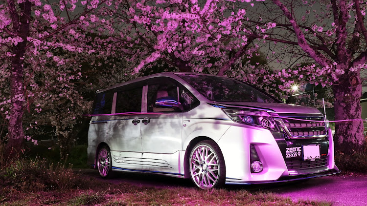 ノアのネコ・夜桜・洗車・桜とコラボ🌸に関するカスタム事例の投稿画像2枚目