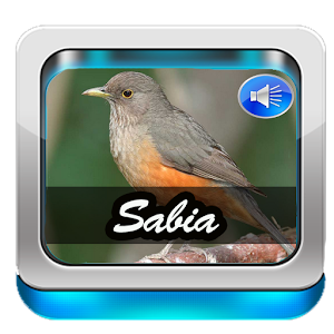 Canto Do Sabia Laranjeira logo