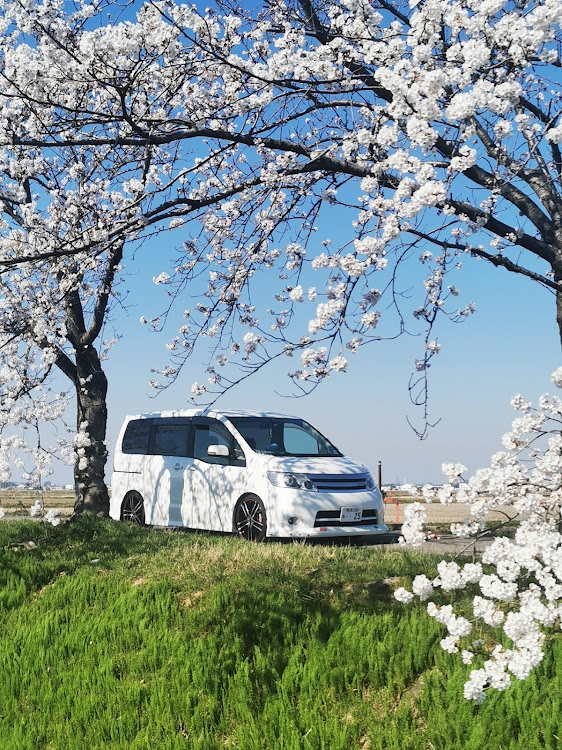 セレナの2023ベストショット4月に関するカスタム事例の投稿画像1枚目