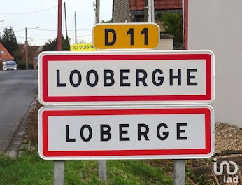 Looberghe (59)