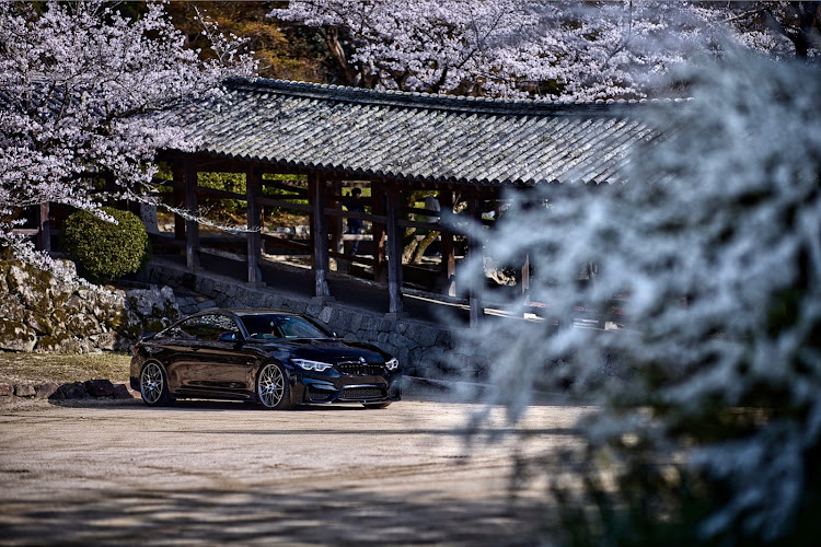 M4 クーペのMPower・単焦点レンズの世界・桜と愛車に関するカスタム事例の投稿画像2枚目