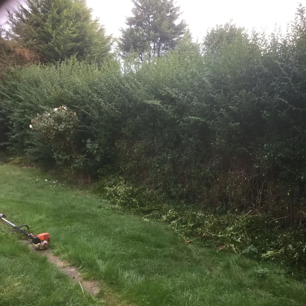 Album cover: PIVOT HEDGES CLEARED AND NEW 6FT FENCE, CLOASE BOARD PANELS...
