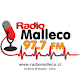 Download RadioMalleco FM For PC Windows and Mac 1.0