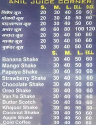 Anil Juice Vatika menu 3