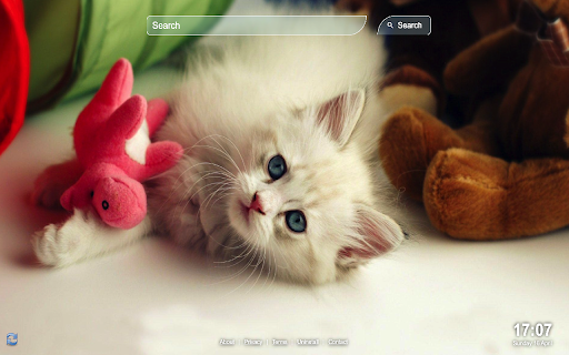 Cute Cats Wallpaper