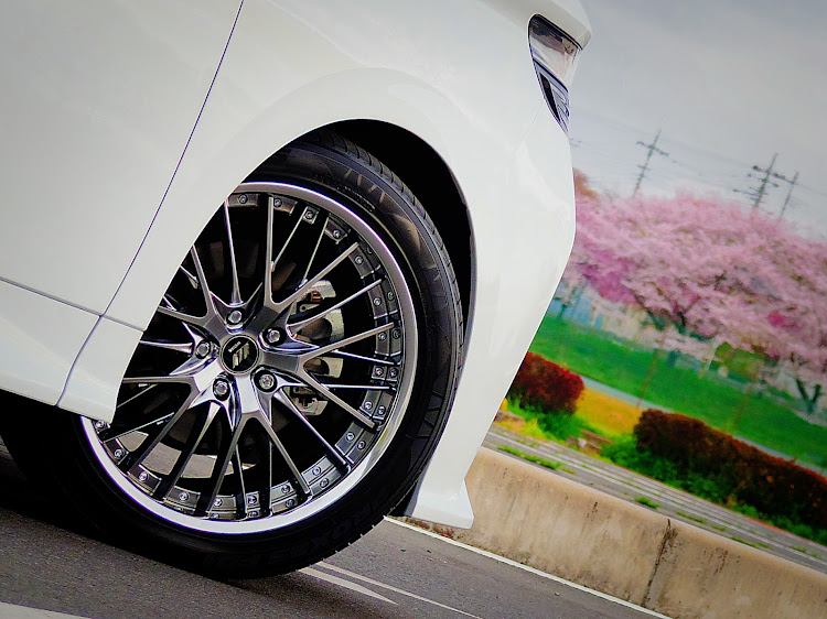 アルファードの早朝カメ🐢活・桜🌸コラボ・桜🌸と愛車🚗・シュヴァートSG2に関するカスタム事例の投稿画像3枚目