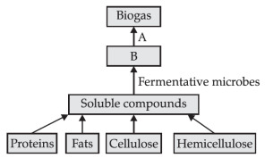 Microbes in production of biogas