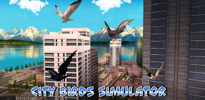 City Birds Simulator