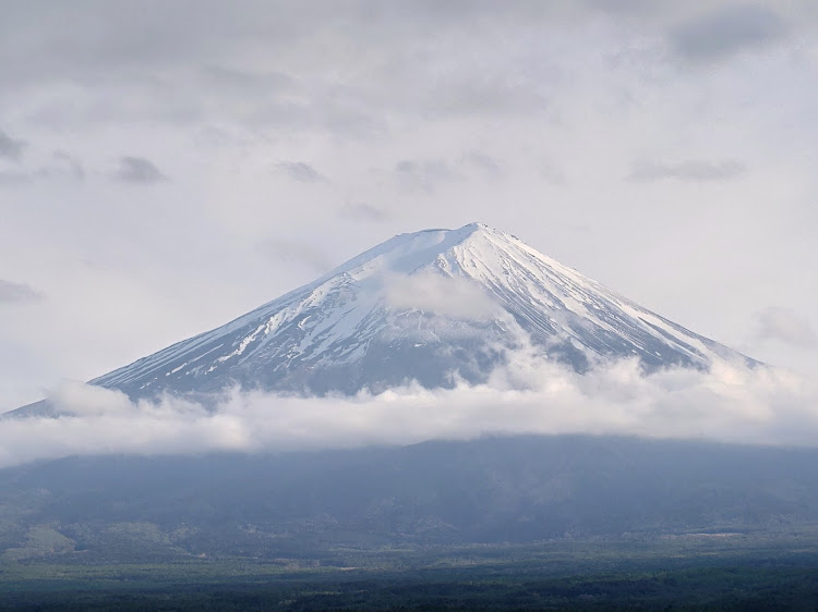 の投稿画像2枚目