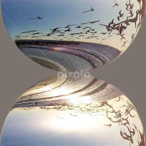 Mirrored Reflection by Colleen Legree - Illustration Abstract & Patterns