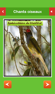 Top Chants Oiseaux(圖4)-速報App